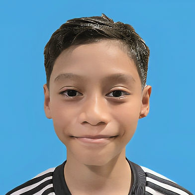 Ali Fareeq Ahmad Fadzli