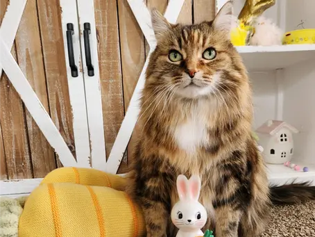 Target Easter Décor Finds 2026