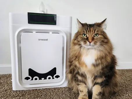 Oneisall Air Purifier For Pets