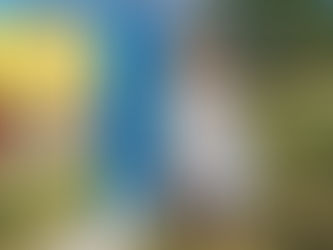 What's In My {Spring} Bag?!