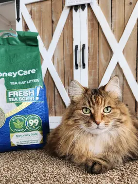 Honey Care Flushable Tea Cat Litter