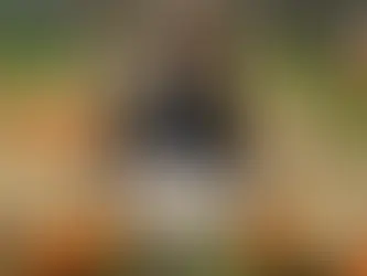 {SHEIN} Fall LookBook 2024