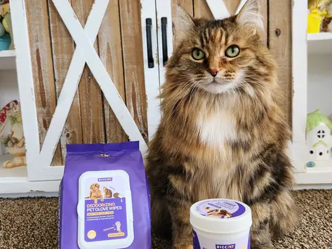 HICC PET Deodorizing Glove & Ear Finger Wipes