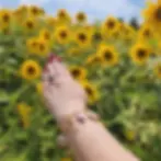ree