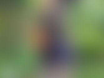 Retro Stage {Dress LookBook}