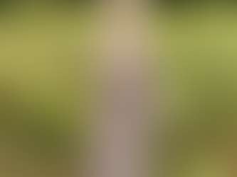 Fall Fashion Trends 2021