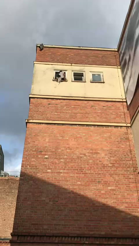 dinosaurs.mp4