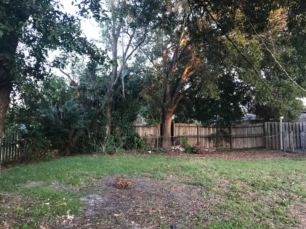 Shoreline Before