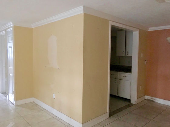 Shoreline Before