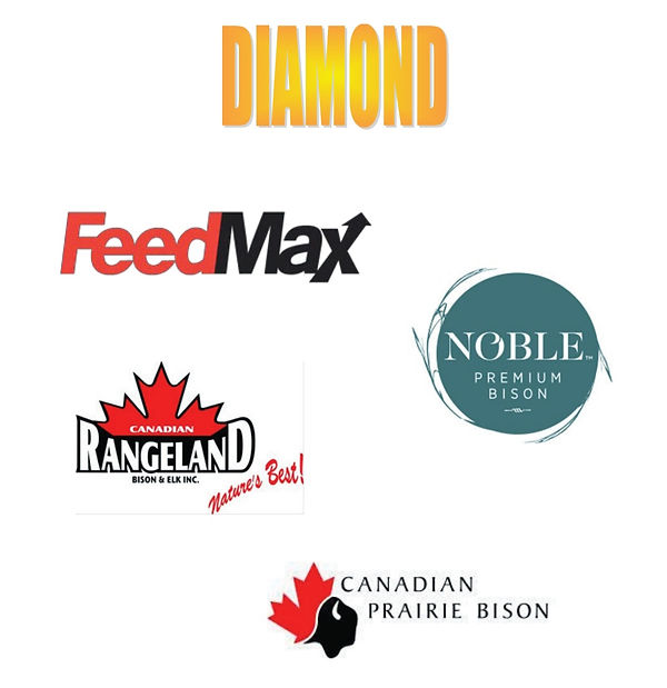 2026 Diamond Sponsors.jpg