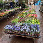 FAKENHAM THURSDAY MARKET - 24TH FEBRUARY 2022