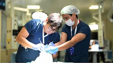 RHINOPLASTY CADAVER COURSE AND LIVE SURGERY