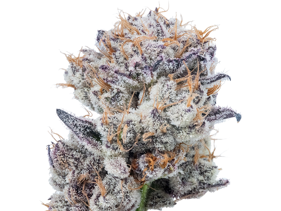 Blueberry Zyrup