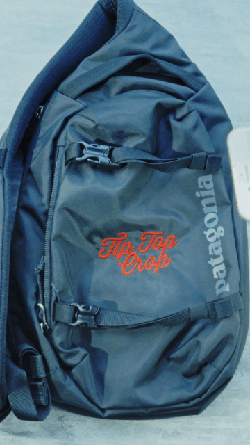 TTC • GIF 4 • Grab Bag 4.gif
