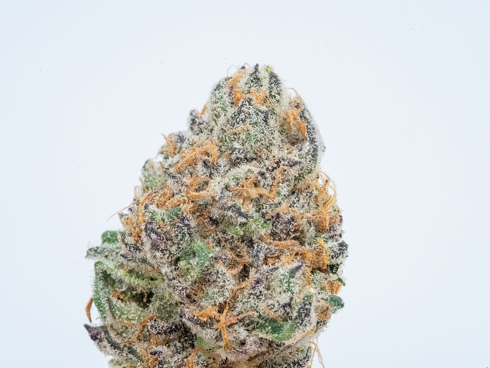 AK47 X Afghani