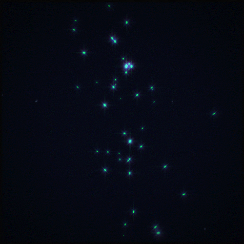 Stars 2.gif