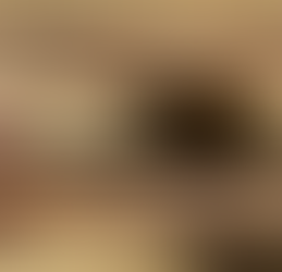 The distortion and the difficulty of the profiles going together.