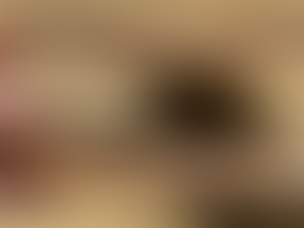 The distortion and the difficulty of the profiles going together.