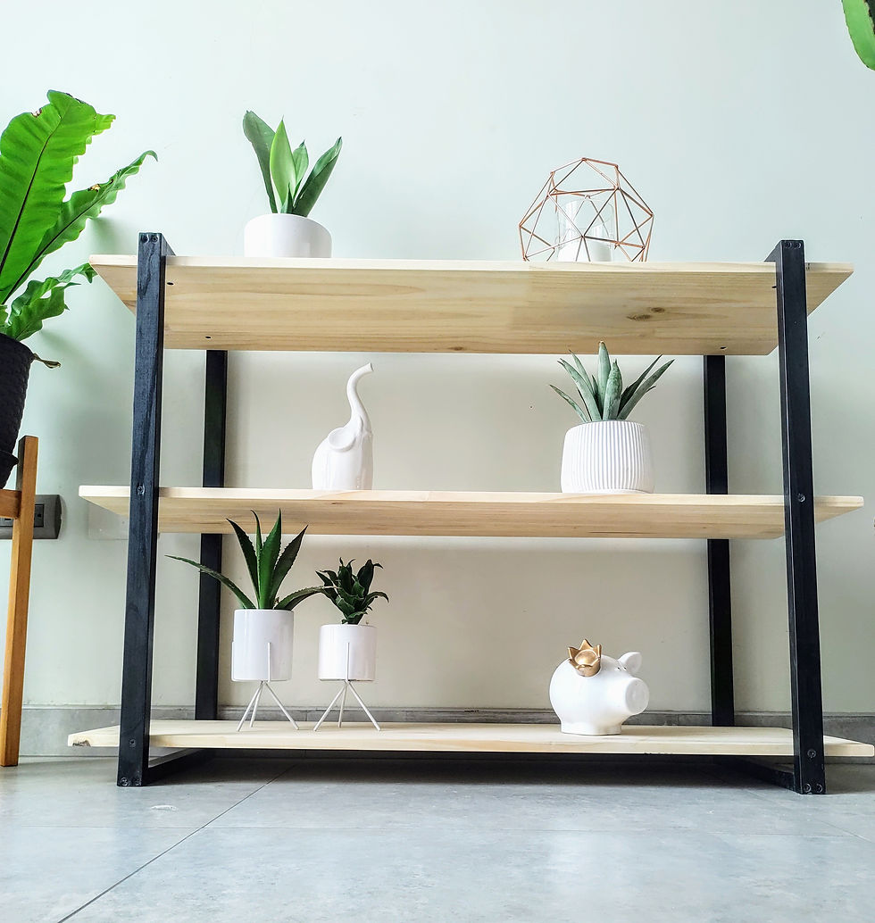 Miniatura: Recibidor Sandra