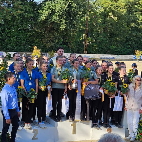 Pfalzmeisterschaft Voltigieren