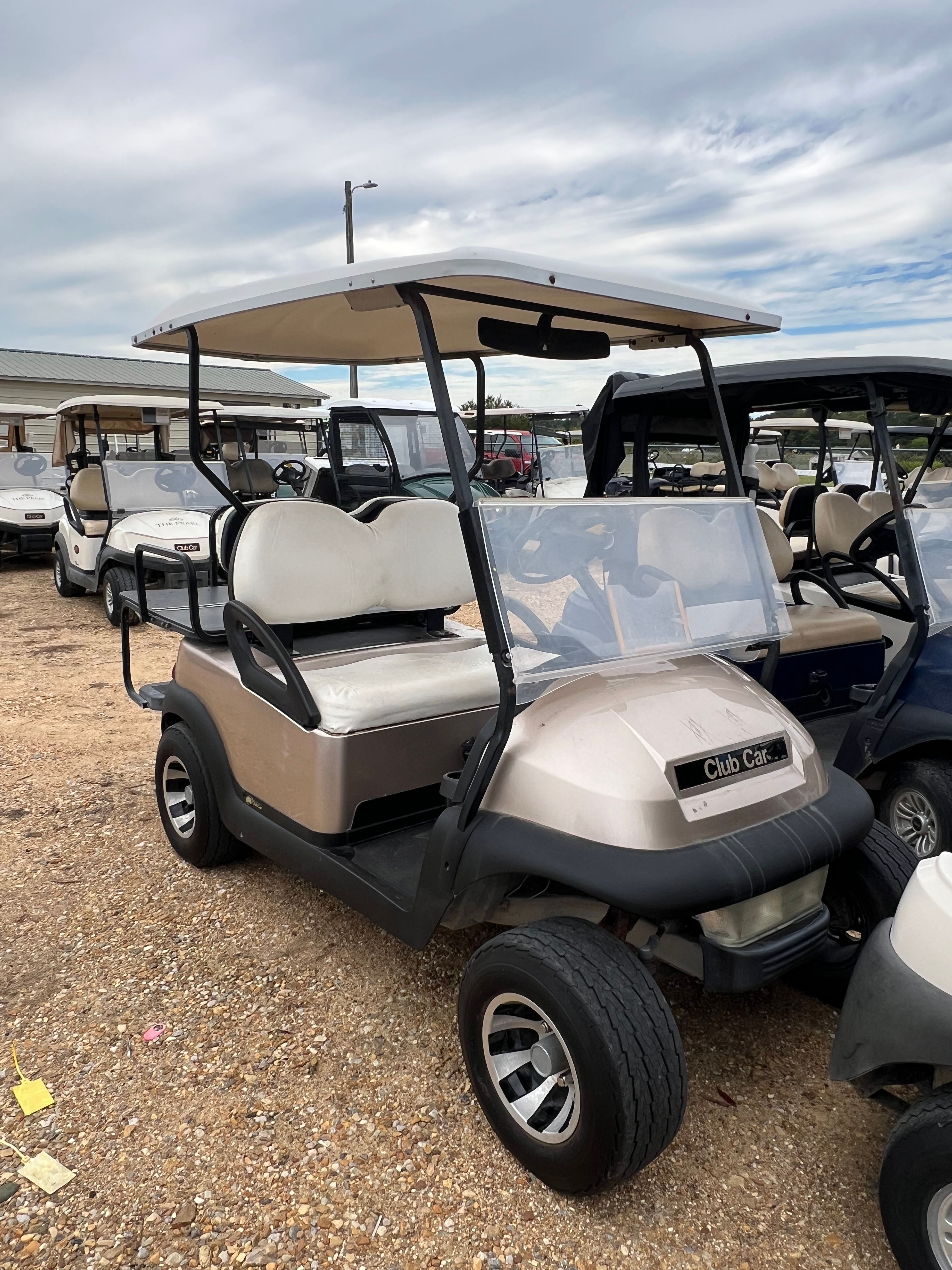 Custom 2008 Club Car Precedent 48v