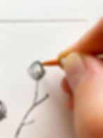 Thumbnail: Etching 'Berries'
