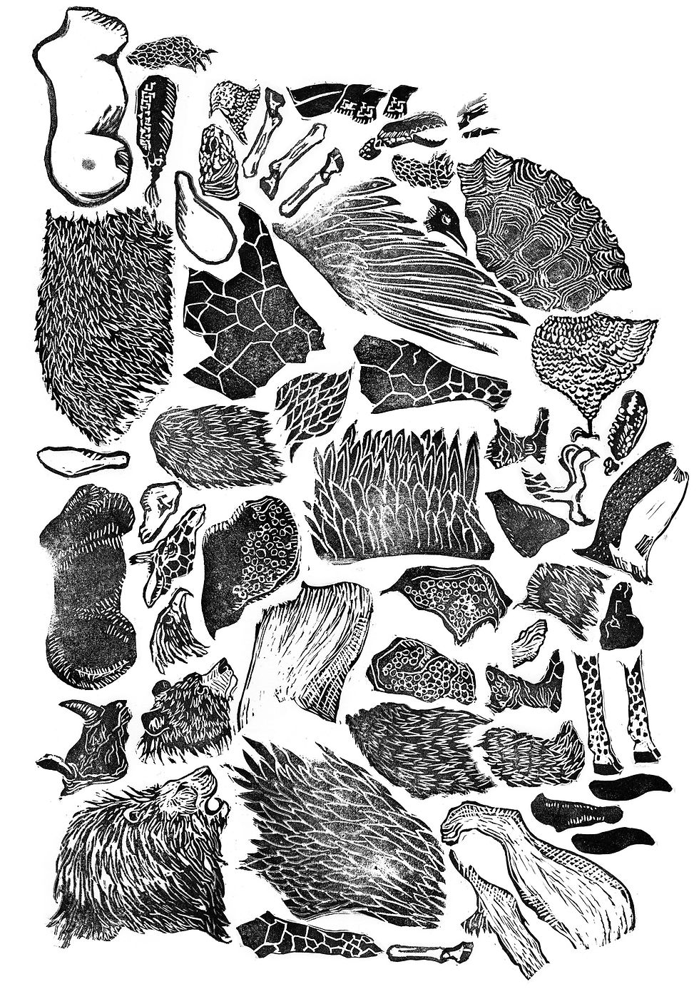 collection animaux