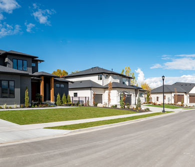 McMullen Acres-4.jpg