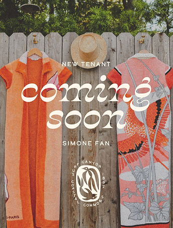 Simone Fan 1 (1)_edited.jpg