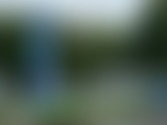 夏といえば・・・プールでしょ(笑)