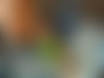 制限時間は90分どれだけのことができるかな?