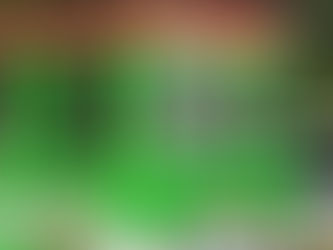 流行りのエコカー