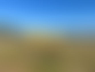 海の見える公園に