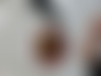 最近はやりのテイクアウト