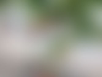 時間との闘い(笑)