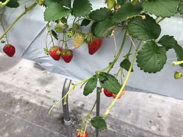 時間との闘い(笑)