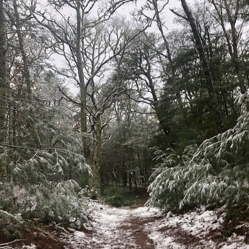 LIVE STREAM! Going Inward: A Winter Concert of Reflection and Rejuvenation