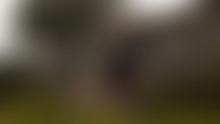 Jógový pobyt pro muže (23. - 26. 4.)