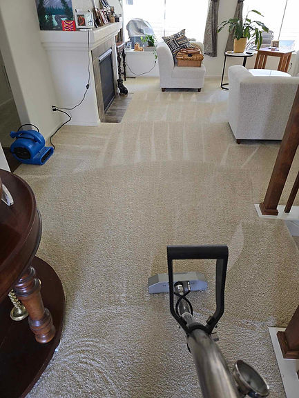 Carpet Cleaning (4).jpg