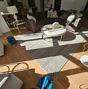 Oriental Rug Cleaning