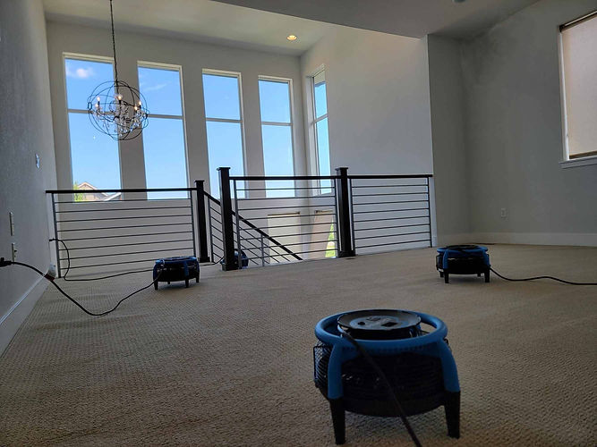 carpet cleaning(1).jpg