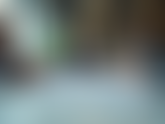 Understanding HR Compliance Services