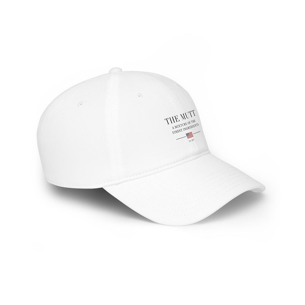 Thumbnail: Low Profile Baseball Cap