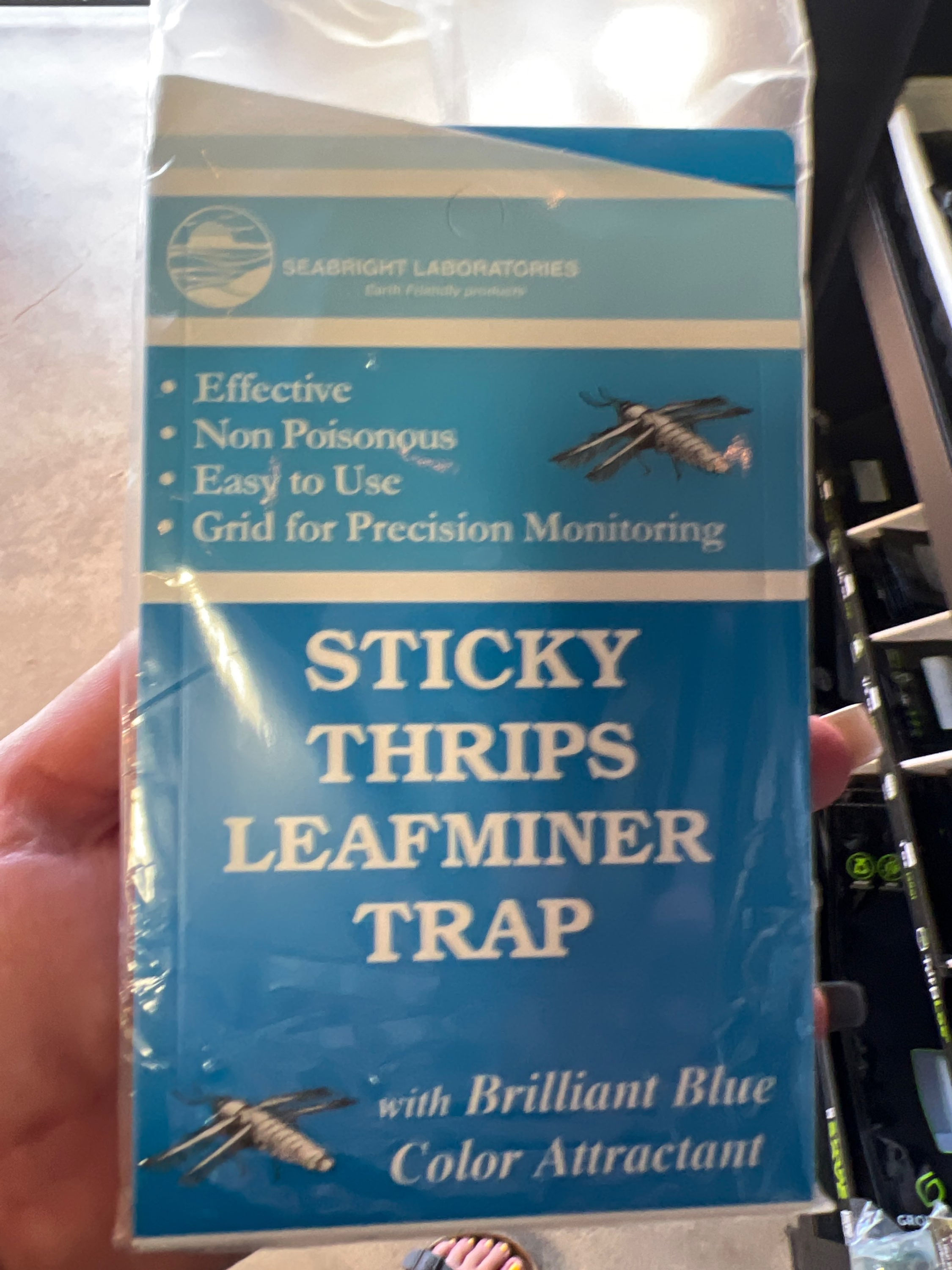 Sticky Thrips Leafminer Trap