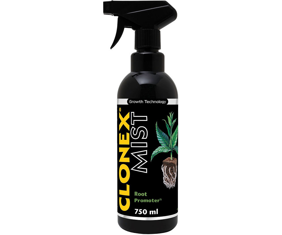 Clonex Mist 300mls