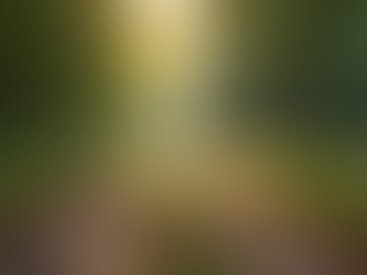 Overcoming Addictions: Steps Toward a Healthier You