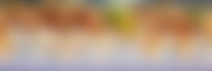 Embark on a Culinary Expedition with Eleganté Cuisine's New Asian-Inspired Menu