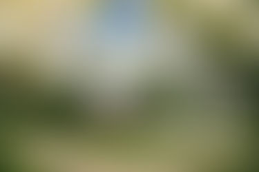 Unveiling the Timeless Charm of The Lodge at Katherine Legge Memorial Park