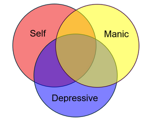 The Self, Interrupted: When Identity Is Subtly Claimed by Manic and Depressive States