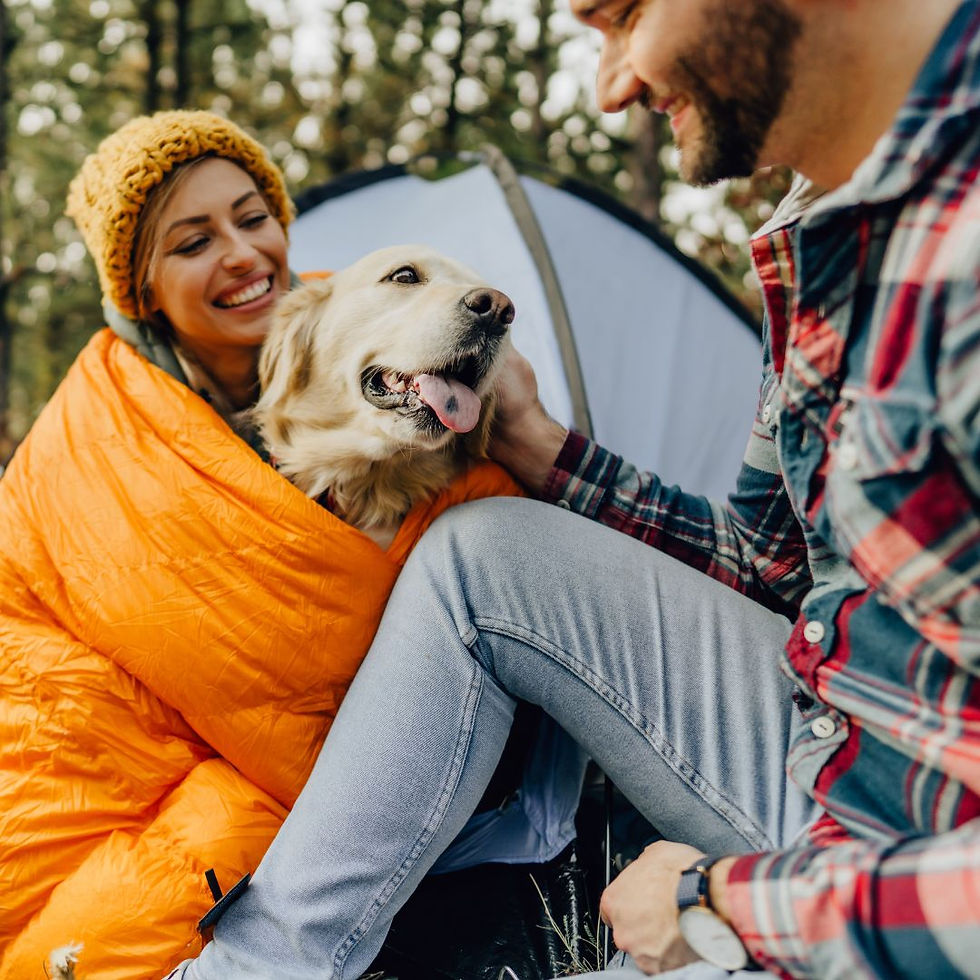 family and dog camping